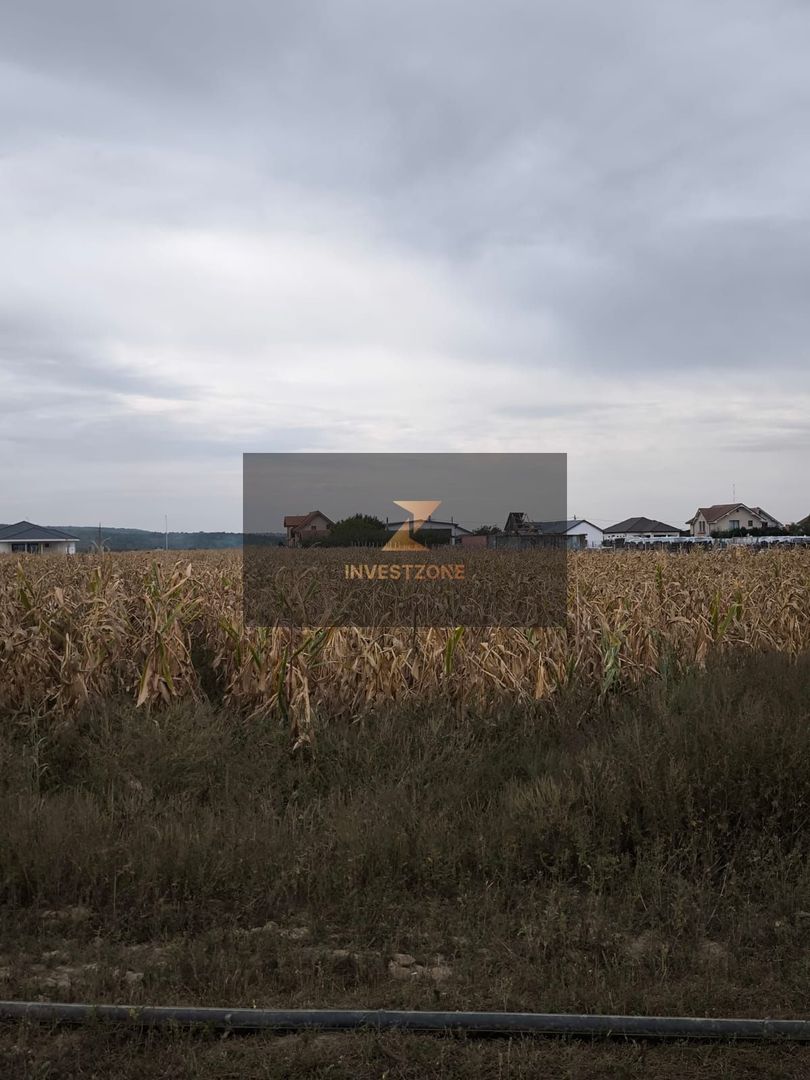 Teren de vanzare,2000mp,Cheriu-Bihor - Poză 1