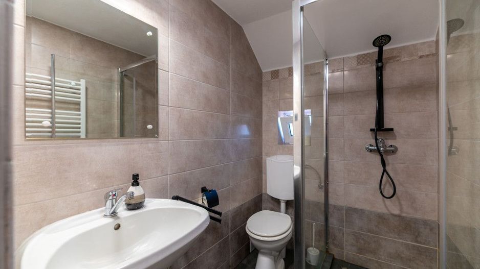 Casa + Pensiune deosebita - Orlat, Sibiu - Poză 27
