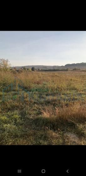Teren intravilan 5000 m² de vânzare în Lunca Cetățuii, Ciurea - Poză 1