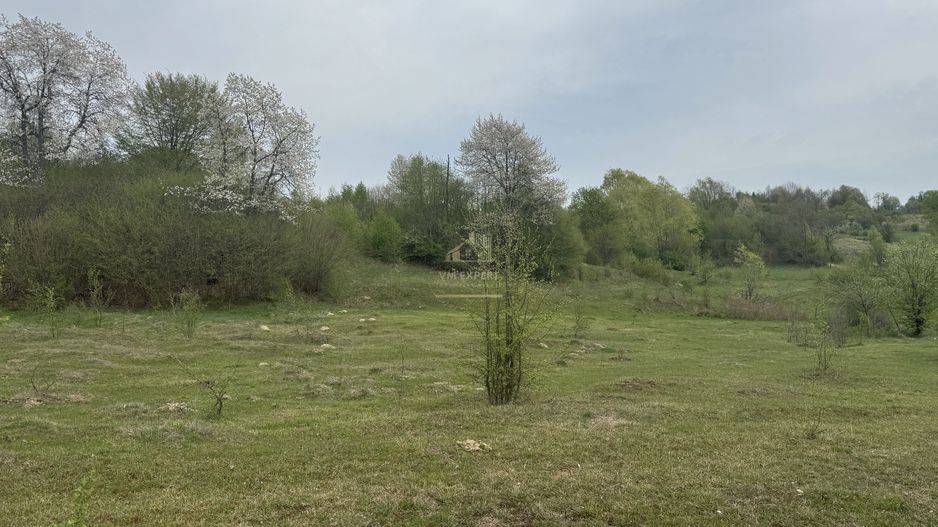 TEREN EXTRAVILAN 40000 MP, ALBESTI DE MUSCEL, CANDESTI - Poză 1