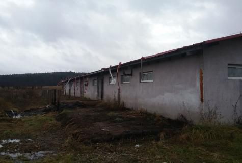spațiu industrial Sacalaseni judet Maramures - Poză 5