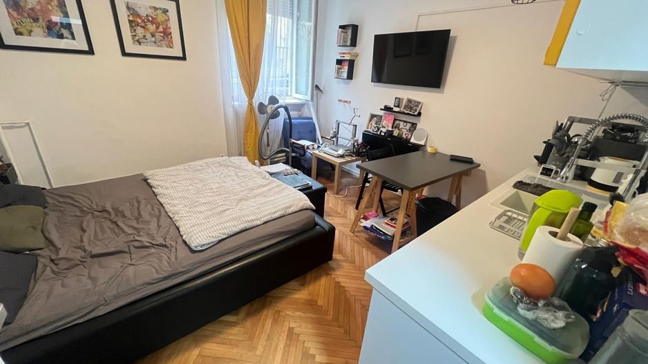 1 cam renovata integral Balcescu - Poză 7