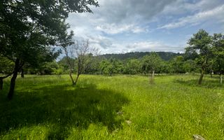 TEREN INTRAVILAN 4600 MP, VOINESTI, LERESTI, ARGEȘ - Poză 10