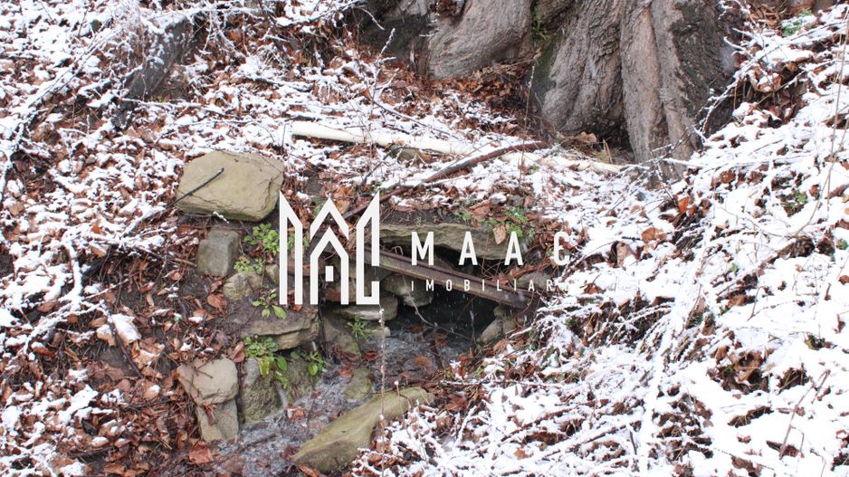 Teren cu izvor de apă minerală  Dangești, Punctul Valea Mare - Poză 28