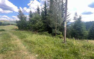 Teren Intravilan | Brodina de Jos | 16900 MP - Poză 1