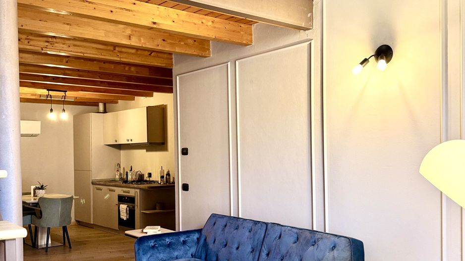 Apartament tip loft, 2 camere, Piața Unirii - Poză 8