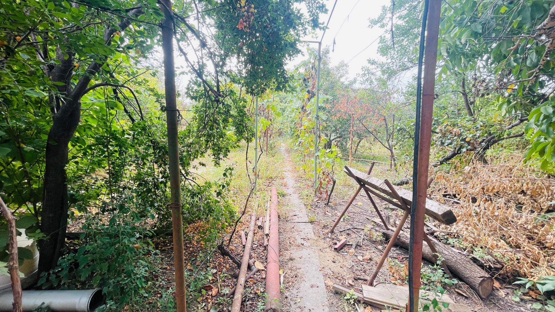 Casa spatioasa cu teren 739 mp in zona Mehala - Poză 11