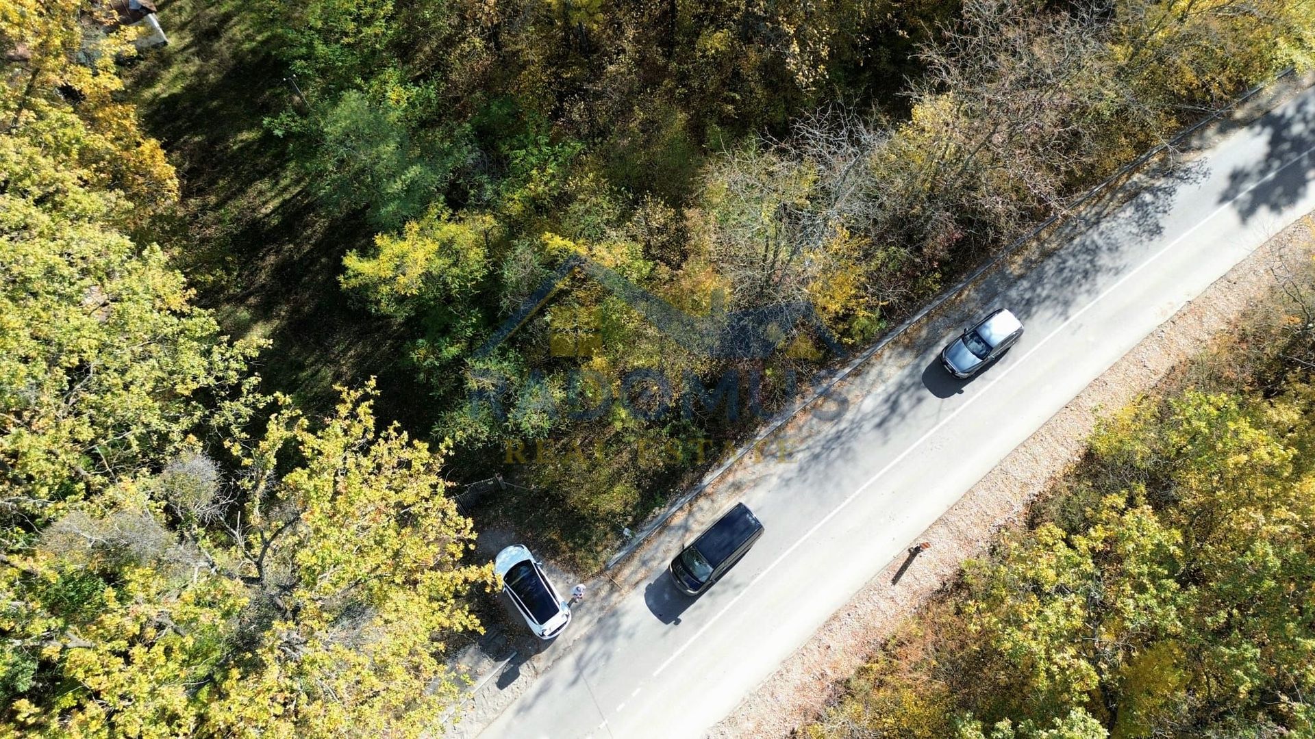 TEREN INTRAVILAN ÎN PĂDURE LA VĂRBILA - PRAHOVA – COMISION 0% - Poză 4