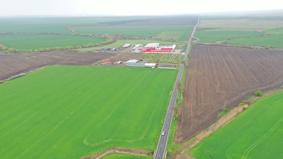 Teren industrial Dudestii Noi - Poză 6