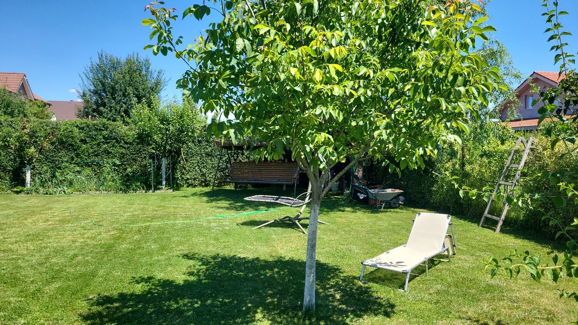 Cocheta si mobilata pe parter - Poză 8