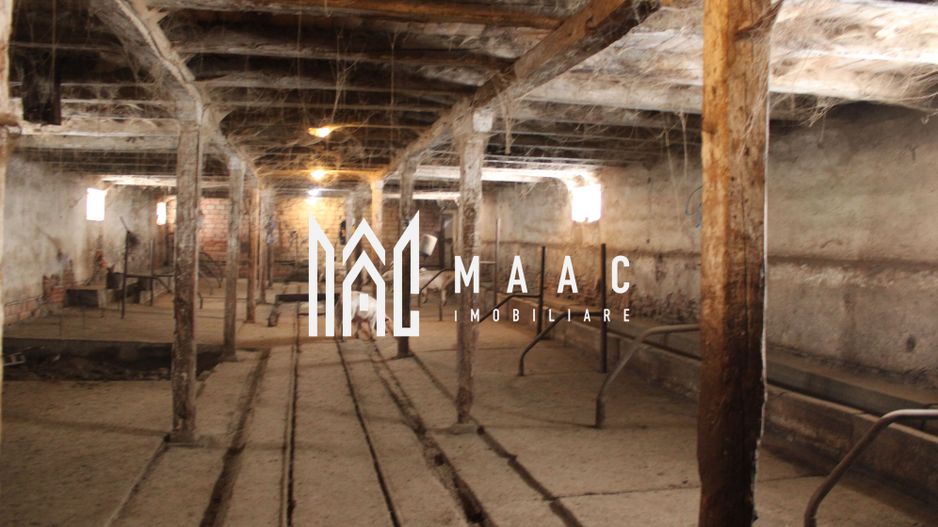 Ferma de Vânzare – Oportunitate Unică! - Poză 17