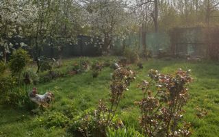 VANZARE VILA | P+1+M | ZONA NICOLAE GRIGORESCU - Poză 6