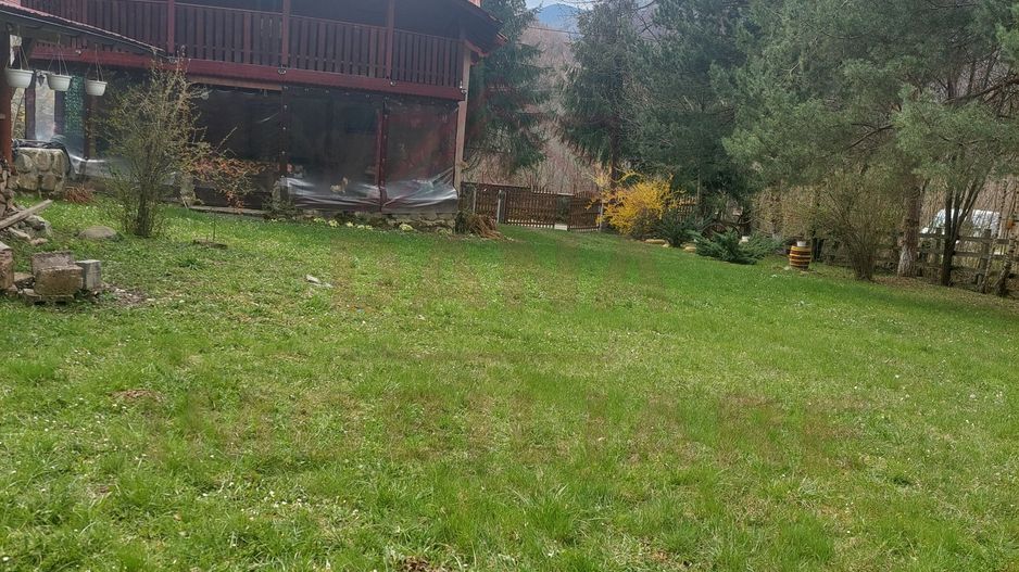 CASĂ DE VACANȚĂ 5 CAMERE,POINANA MĂRULUI, JUD.CARAȘ-SEVERIN - Poză 3