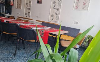 In regiune pitoreasca, cu view montan, Moeciu de Jos, Bran, Brasov - Poză 37