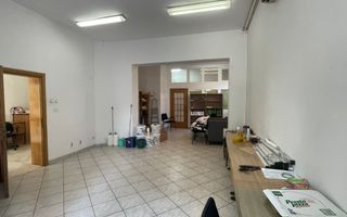 Vila Popa Tatu - Poză 4