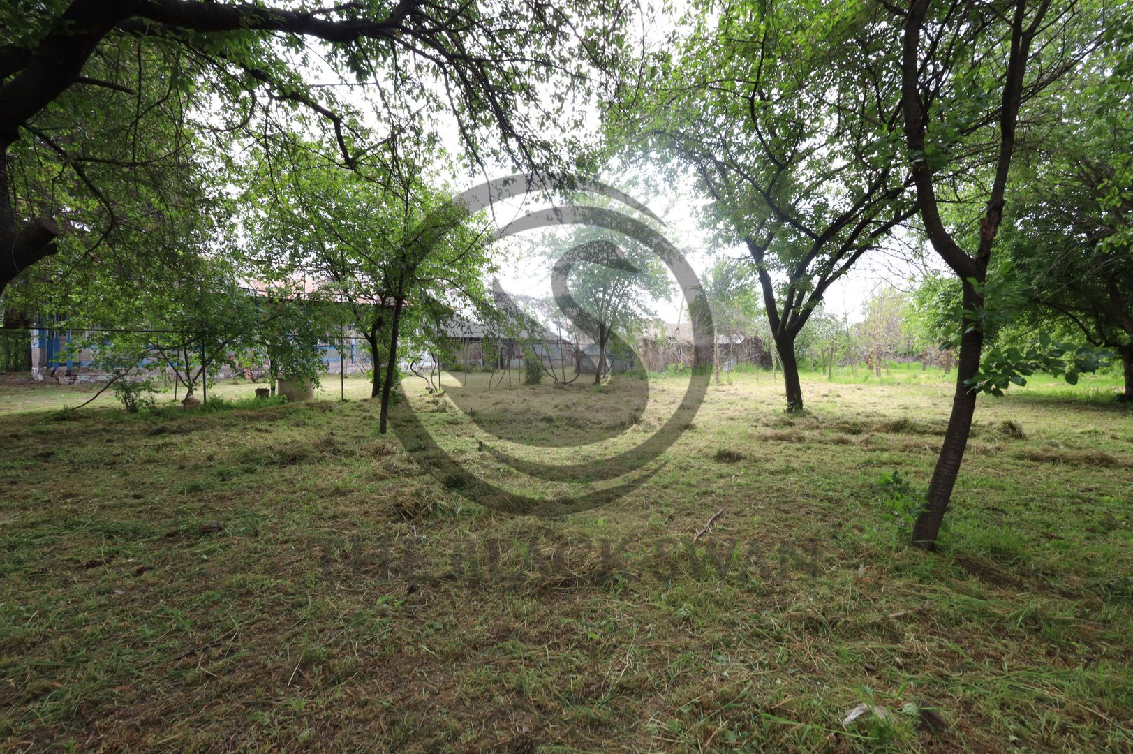 Teren si casa de vanzare | Habud - Sirna, Prahova | Comision 0% - Poză 10