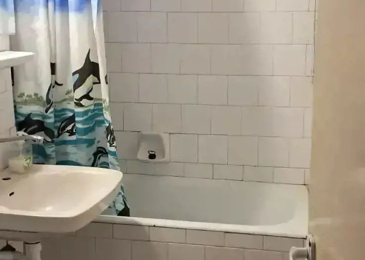 Agentia Imobiliara BRASADAS vinde ap 4 cam. et 1/4 in Micro 16. - Poză 6