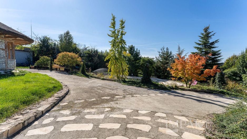 De vanzare casa unica pe teren de 3400mp, cu iaz si gradina - Borhanci - Poză 21