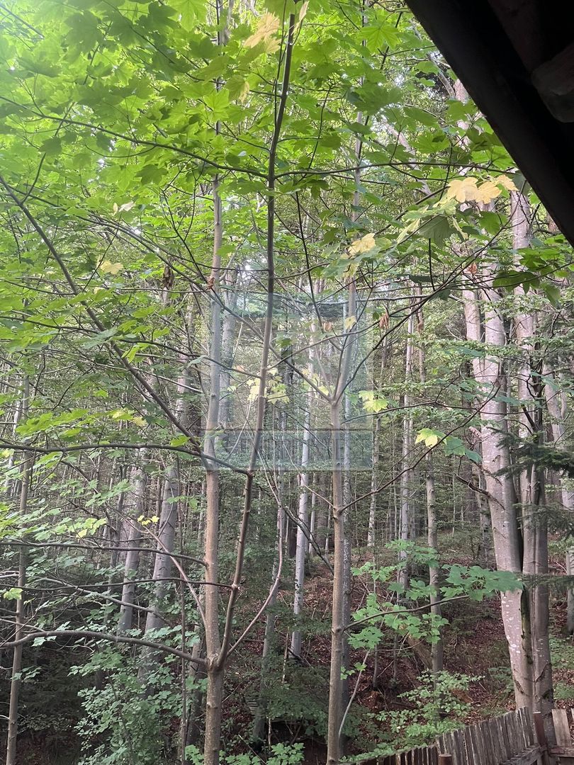 Pensiune de inchiriat/ Predeal - Poză 24