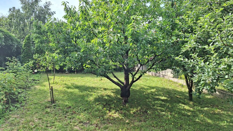 Vila deosebita de vanzare in cartierul Andrei Muresanu - Poză 25