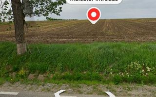 Teren de 5000 mp de vanzare, cu front la strada, in Voinesti, Iasi - Poză 4
