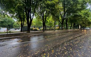 Vânzare Casă cu aplasare Strategică - Copou - Parcul Expoziției - Poză 17