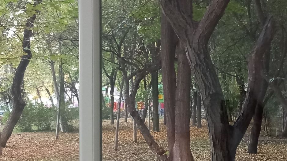 De inchiriat garsoniera , Berceni - Poză 7