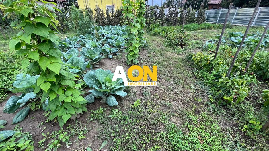 Teren de Vanzare 900MP - Poză 1