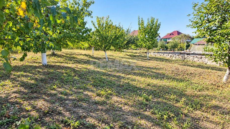 TEREN PENTRU CONSTRUCȚIE – 8,2 ARI | CHETROSU, ANENII NOI - Poză 9