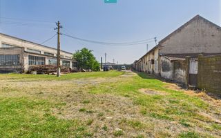 Complex industrial cu hale și teren  în Orțișoara - Poză 31