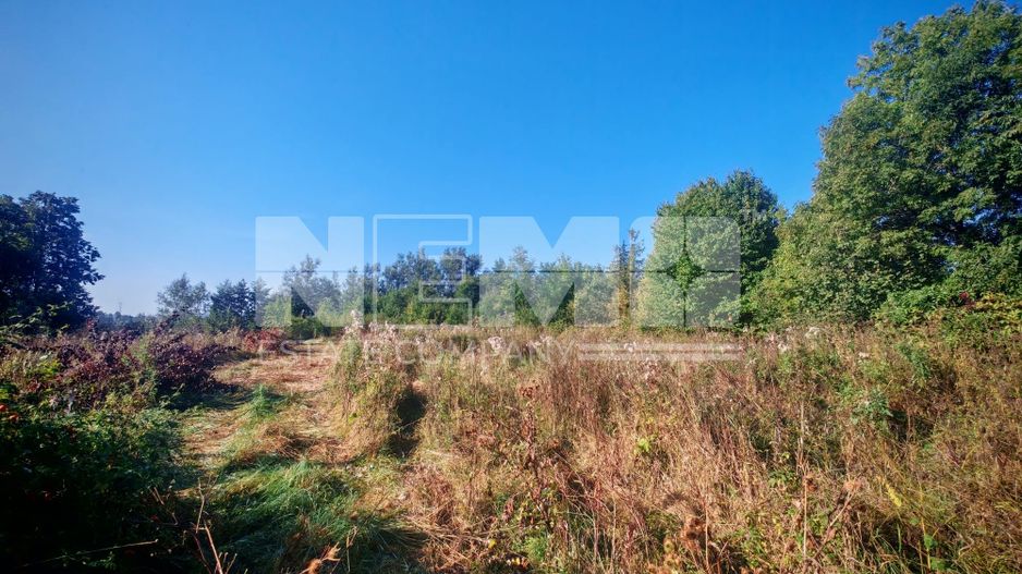 TEREN INTRAVILAN | FRATĂUȚII NOI | 1.1 HA - Poză 10