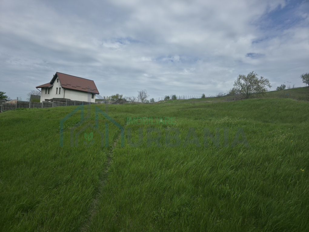 Teren de vânzare în Bogonos, Iași – 6.500 mp cu utilități - Poză 3