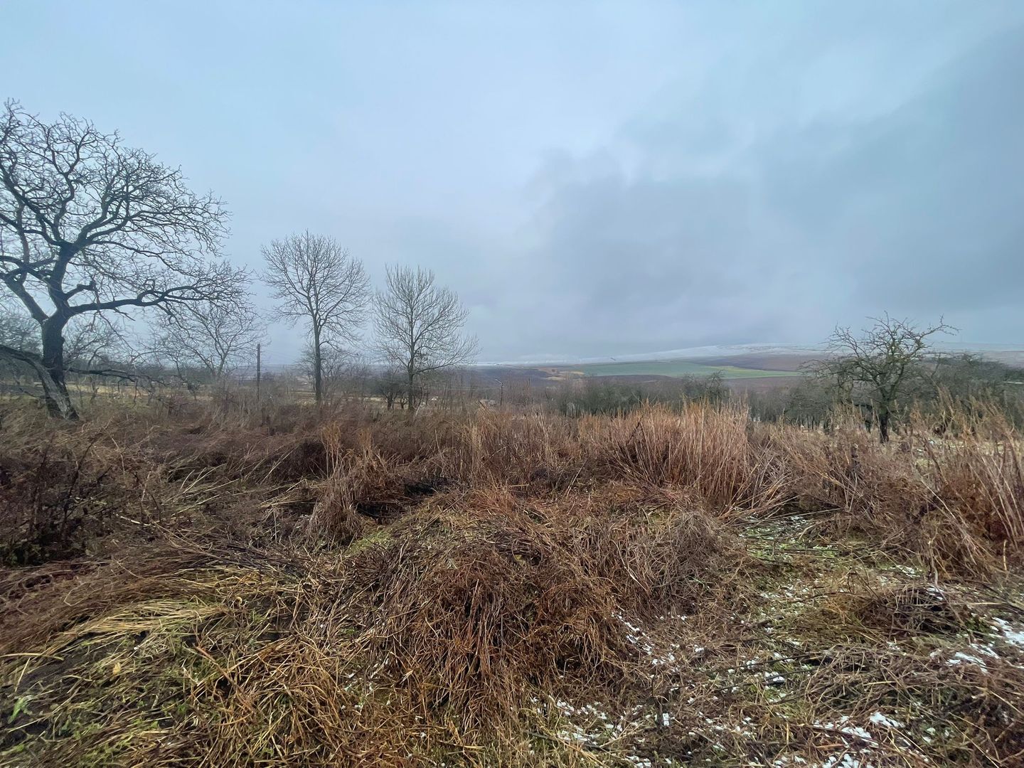 Casa Demolabila | Rediu | Teren 3278 mp | Posibiliate parcelare - Poză 5