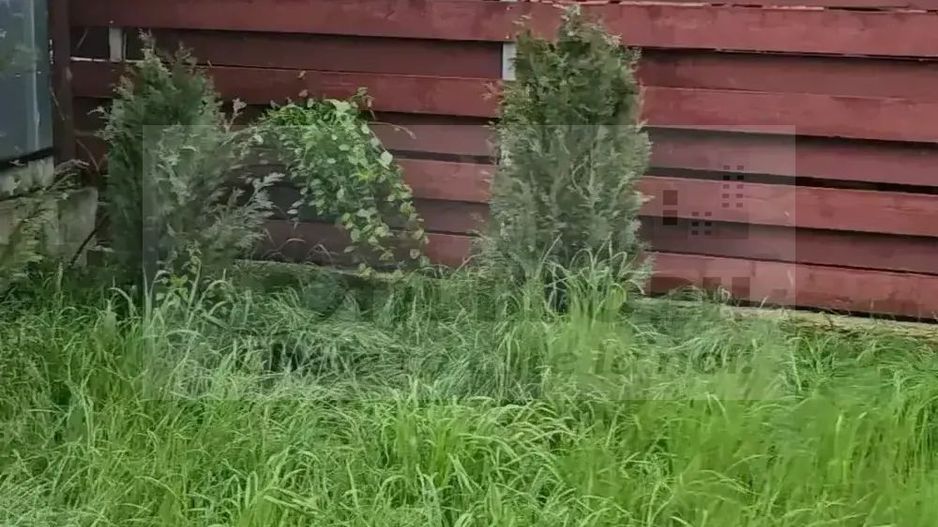 CASA de inchiriat GRANIT - 850 euro - Poză 9