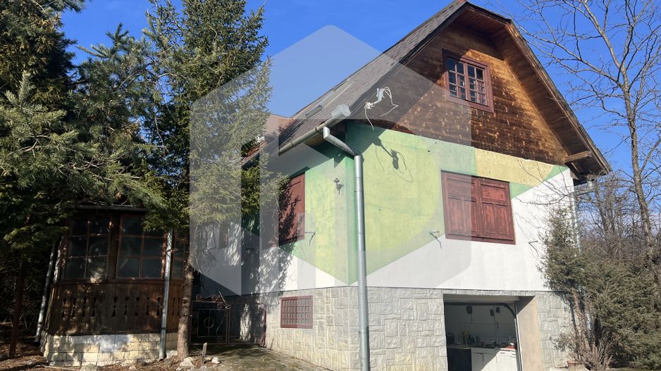 Teren cu livada+ casa de vanzare in Talmacel- 4000 mp - Poză 17