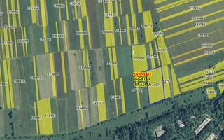 Teren intravilan, 7838 mp, cu priveliște superbă spre munți – Zărnești - Poză 11