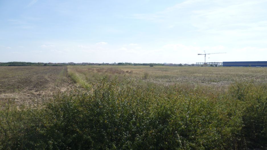 Vand teren pe soseaua de centura, la 800 de metri de Calea Aradului - Poză 3