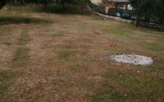 Teren Intravilan 10.000 mp | Livadă + Pădure de salcâm | Bărbătești - Poză 4