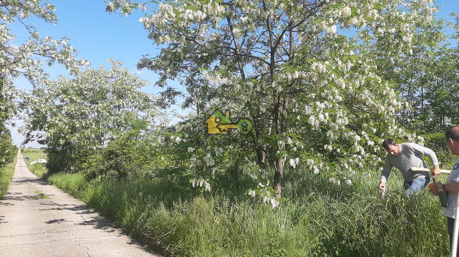 Teren Extravilan, Dealu Viilor, Lugoj - Poză 3