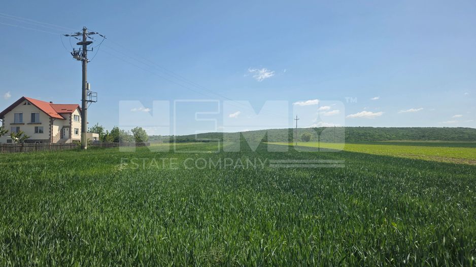 TEREN EXTRAVILAN | MITOCU DRAGOMIRNEI | 2.600 Mp - Poză 3