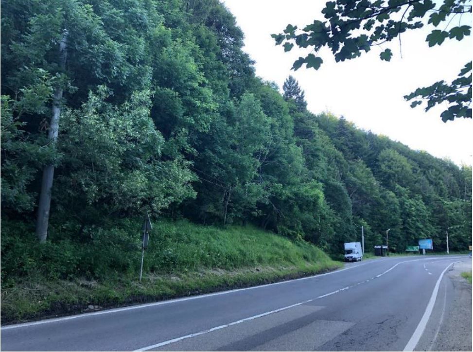 Teren intravilan in Busteni - Poză 4