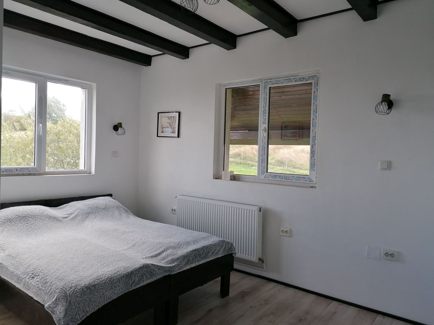 Imobil tip pensiune Dangau Mare - Poză 6