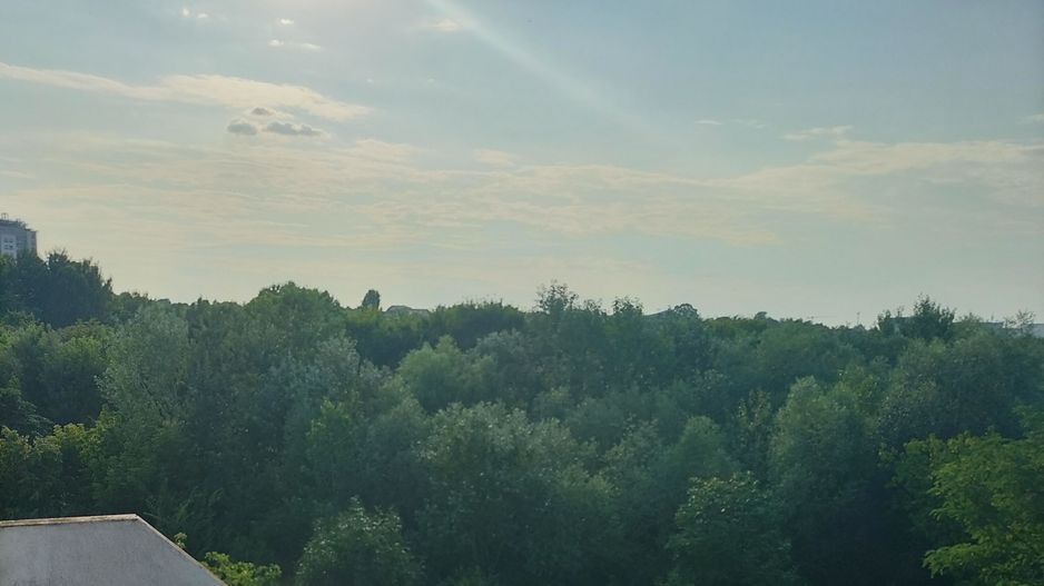 Apartament Luminos 2 camere. Vedere Parc Tineretului, Zona Pridvor. - Poză 2