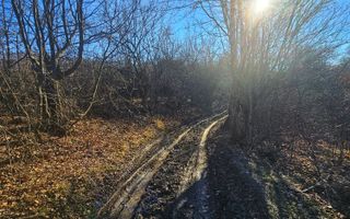 Teren intravilan 2.000 mp – Seciu, 2 deschideri, Priveliște panoramica - Poză 17