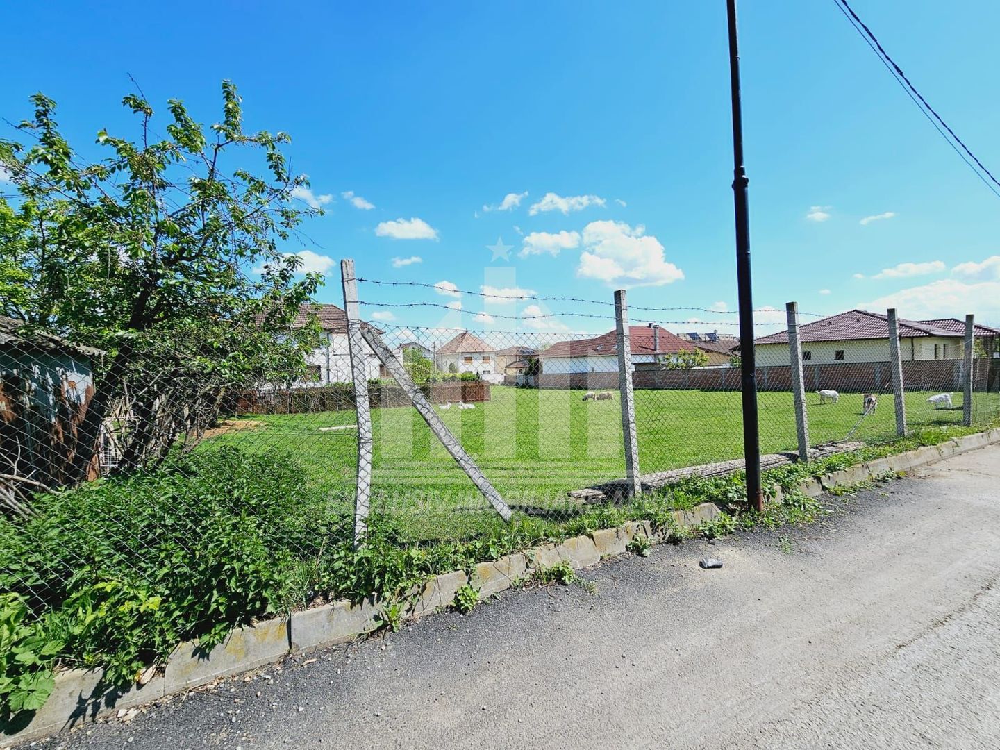Teren intravilan de vanzare, Cetate - Poză 1