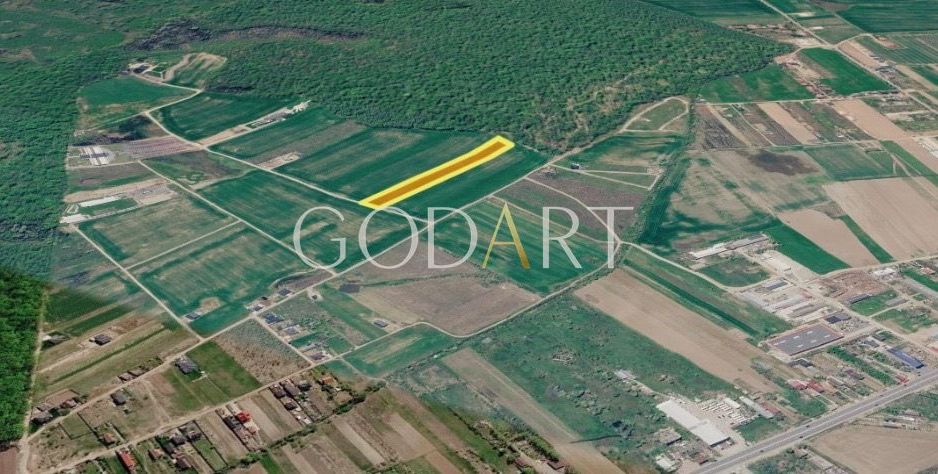 Teren 10.000 mp în Ciolpani | Deschidere la șosea | Pădurea Snagov - Poză 3