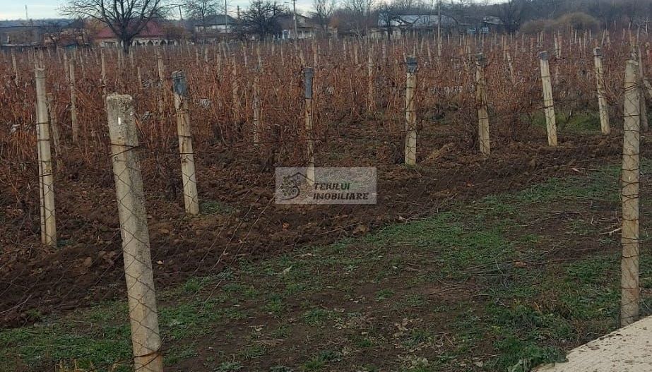 Teren/Loc de casa/Tamboesti - Poză 1