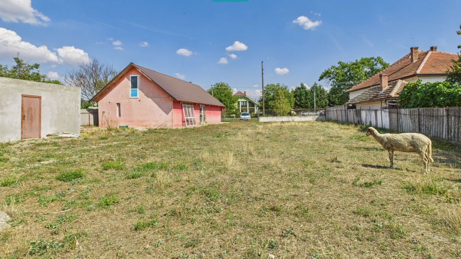 Casă/spațiu comercial pe DN79 în Zimandu Nou - Poză 12