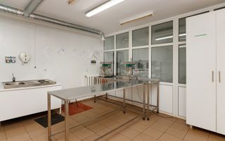 Proprietate specială de vânzare ”Fabrică de producere a medicamentelor de uz veterinar” - Poză 9