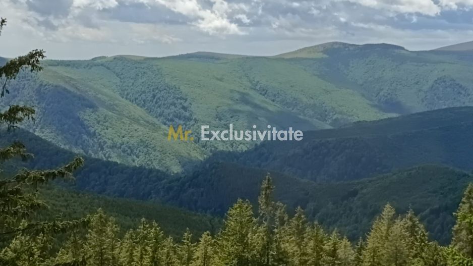 Cabană P+M de vânzare în Rânca - Poză 27